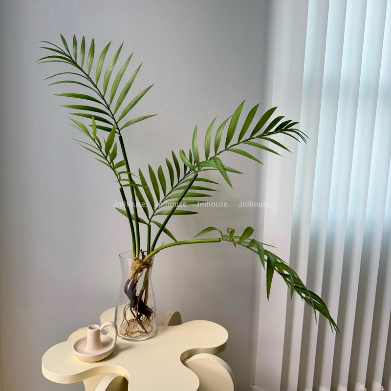 [พร้อมส่ง] Jnihouse : Parlor palm (ปาล์มไผ่) กิ่งไม้ประดิษฐ์ (Tree)