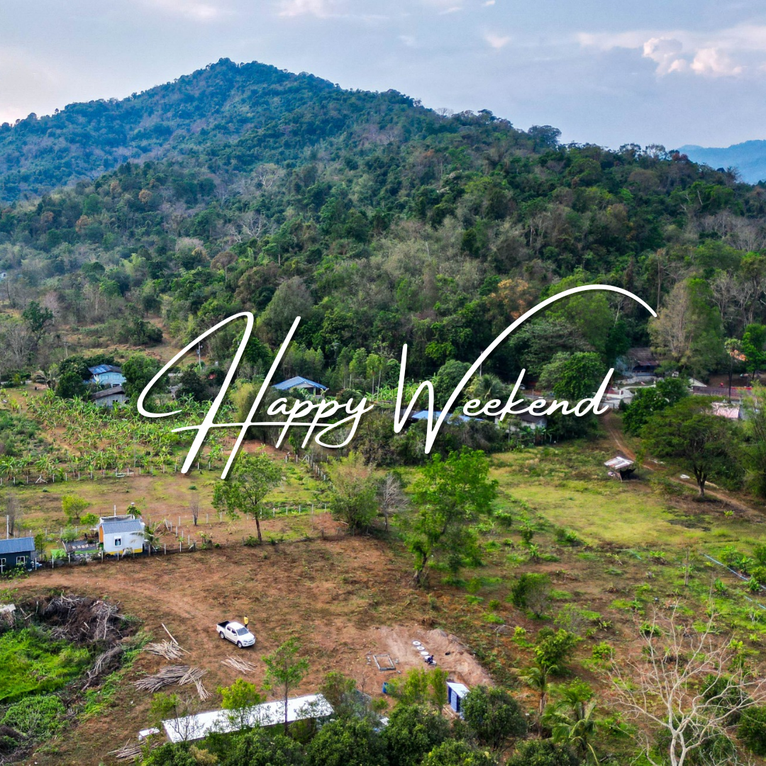 ที่ดินนครนายก วิวภูเขา ทำเลดี 1-3-22 ไร่ ห่างจากภูเขา 500 เมตร ได้วิวภูเขาแบบโตๆ ได้บรรยากาศีดีตลอดปี ต.สาริกา อ.เมือง จ.นครนายก