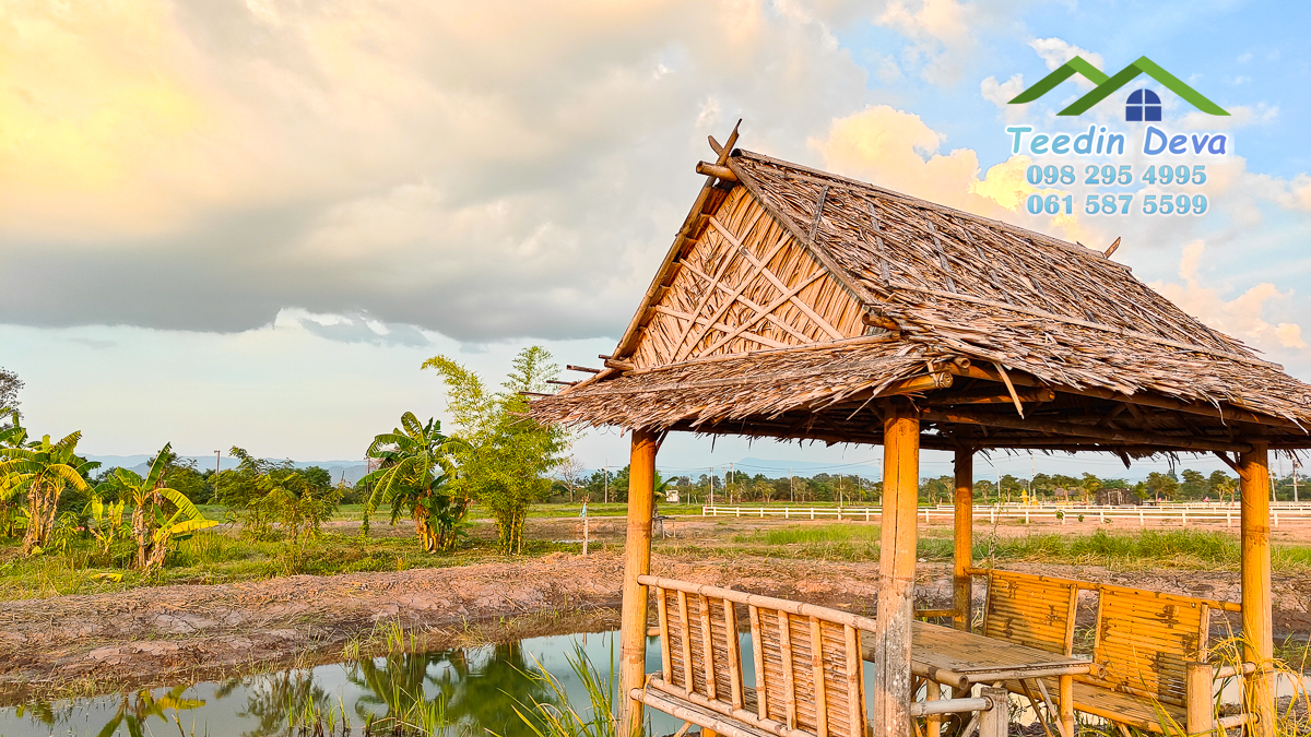 ที่ดินนครนายก แปลงสวย เหมาะทำบ้านสวนเกษตร 2 ไร่ 1 งาน 19 ตร.ว. ต.พรหมณี อ.เมือง จ.นครนายก