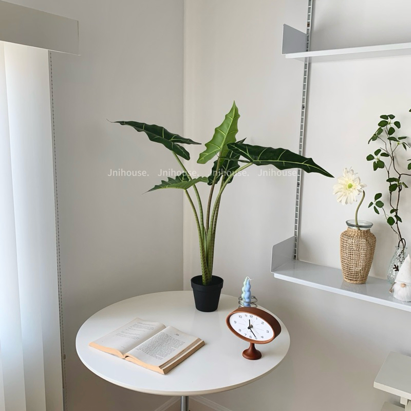 [พร้อมส่ง] Jnihouse : ต้นไม้ประดิษฐ์อโลคาเซีย หูช้าง (Artificial Alocasia Sarian Potted)(Tree)