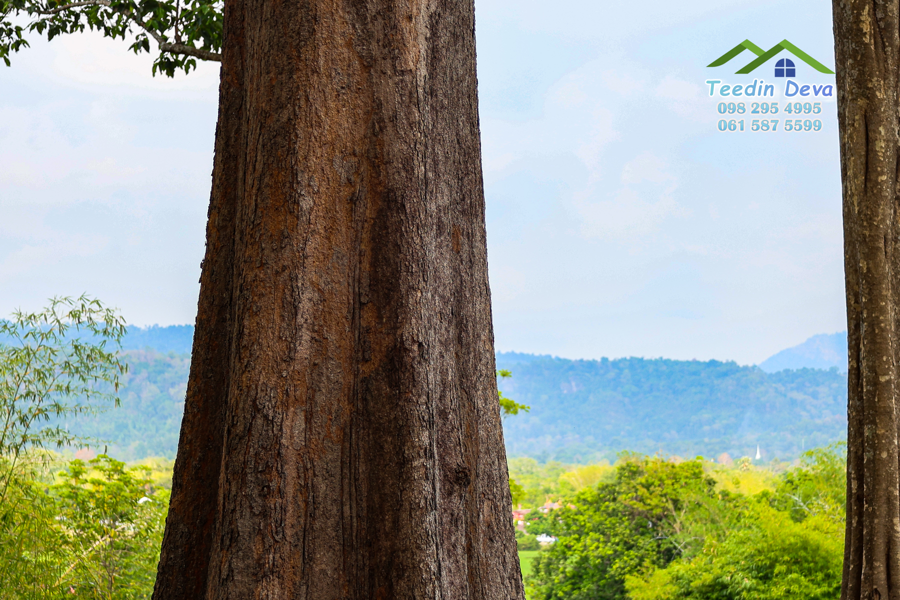 🌿 “มุมสงบแห่งภูกะเหรี่ยง” ที่ดินวิวเขา ริมคลองน้ำใส 297 ตรว. ต.หินตั้ง อ.เมือง จ.นครนายก สำเนา