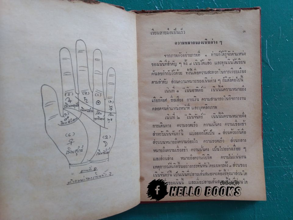 เรียนลายมือ แบบเป็นเร็ว เข้าใจง่าย