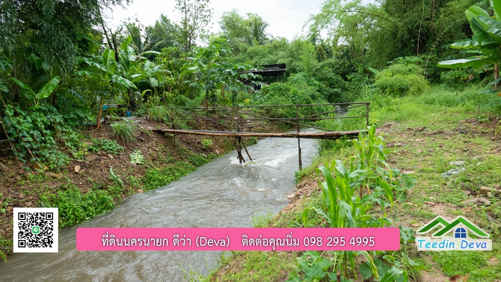 ที่ดินนครนายก สวนผลไม้ขนาดเล็ก 155 ตร.ว. ด้านหลังติดลำธาร