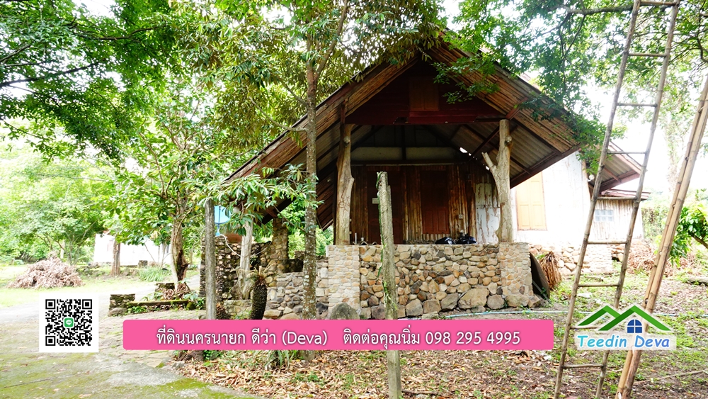 ที่ดินนครนายก สวนผลไม้ พื้นที่ 7 ไร่ ปลูกทุเรียน มังคุด ลองกอง มะยมชิด มีอาคาร 4 หลัง ด้านหน้าถนนสาธารณะ ด้านหลังติดอ่างเก็บน้ำ