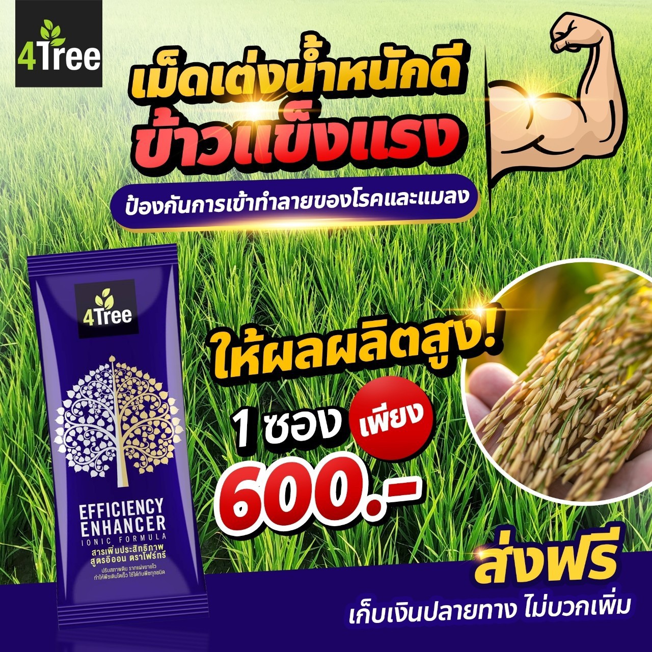 4Tree โฟร์ทรี สารเสริมประสิทธิภาพพืช