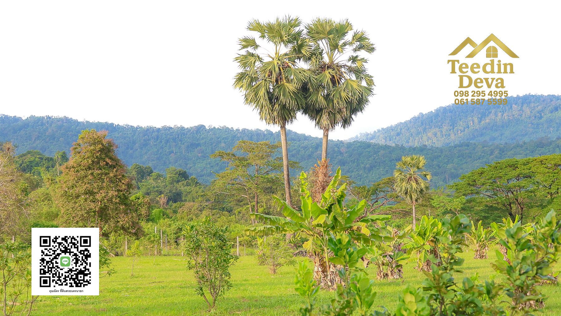 🌿 เริ่มต้นความสุขเล็ก ๆ ด้วยที่ดินแปลงสวย วิวเขา กลางธรรมชาติ ต.สาริกา อ.เมือง จ.นครนายก 💚