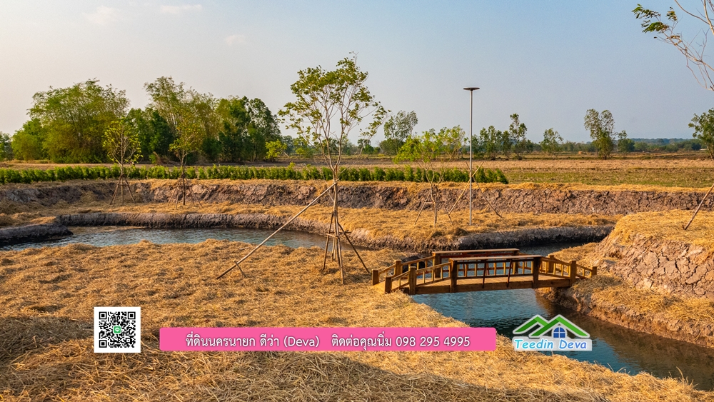 🌿 ที่ดินสวยๆ ขนาด 2 ไร่ พร้อมน้ำไฟ ดินดี น้ำดี อากาศดี มีเพื่อนบ้าน ณ ต.ปากพลี อ.ปากพลี จ.นครนายก