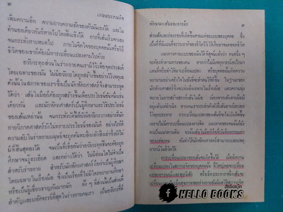 ลักษณะเส้นและลายมือ