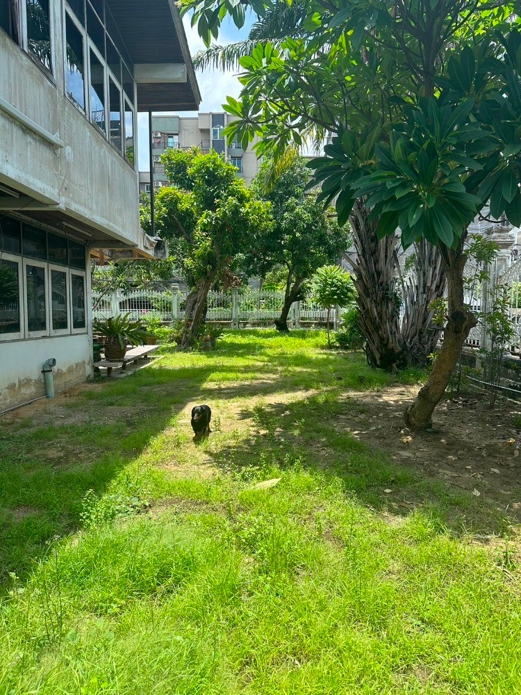 ให้เช่าบ้านเดี่ยว 2 ชั้น พร้อมที่ดิน ซอยสุขุมวิท 97/1 ถนนสุขุมวิท (N.1543)