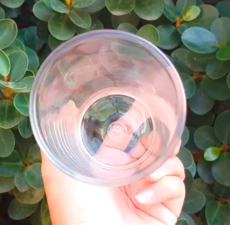 P11380 แก้วใส 8.4 Oz. (240 มิล) (6.25*6.25*12 cm) No.143009 ราคาขายส่งต่อ 1 ลัง : 72 ใบ : 960 บต่อลัง