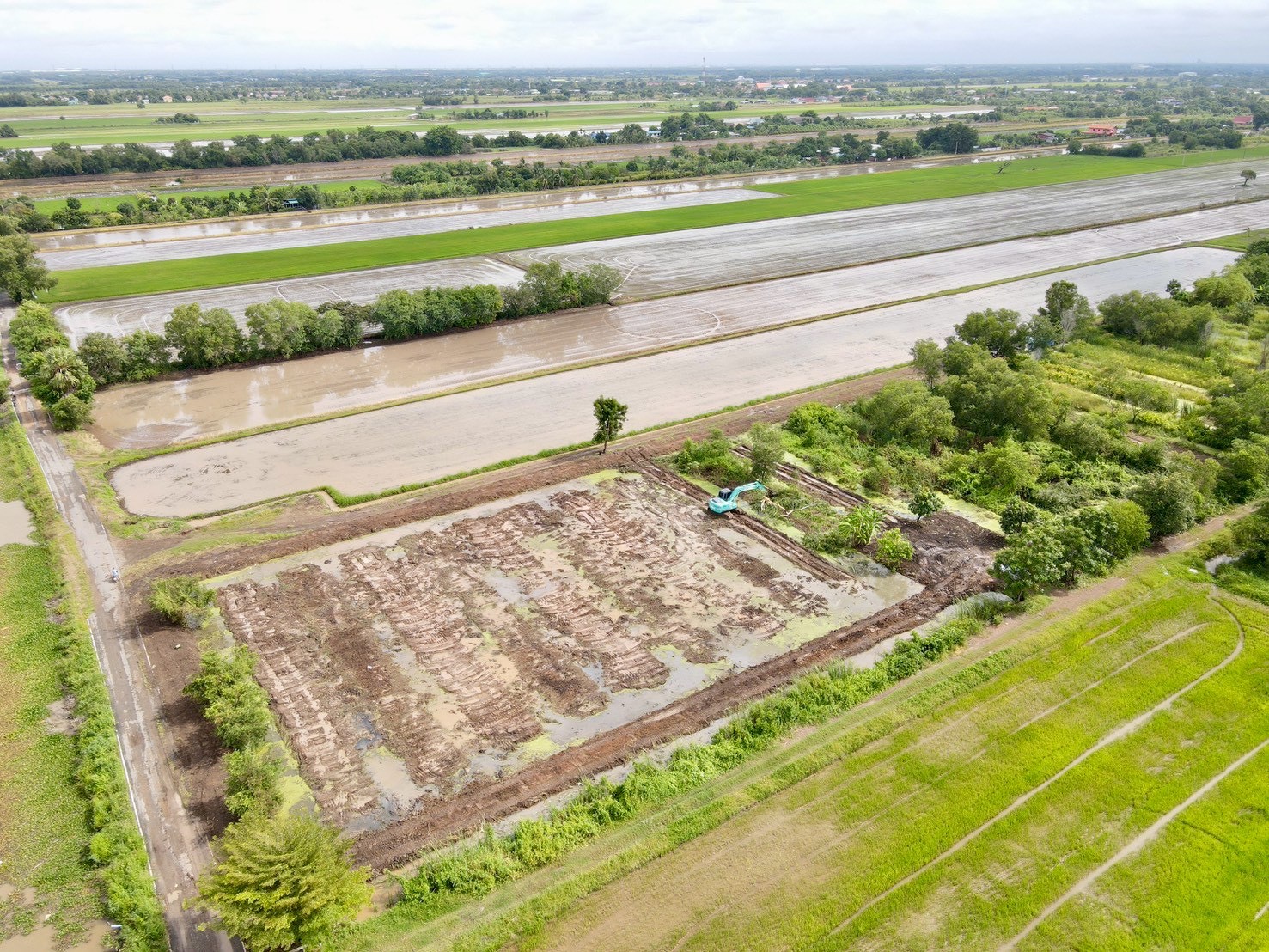 "พบกับที่ดินในฝัน ใกล้มอเตอร์เวย์ 🌿 1 ไร่ – 146 ตร.ว. ที่คลอง 5 อ.คลองหลวง จ.ปทุมธานี"