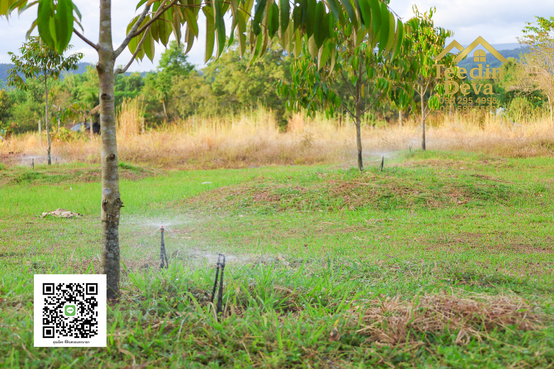 💭 ตื่นเช้าลมเย็น เห็นเขาใหญ่ตรงหน้า... ที่ดินสวนผลไม้ 2 ไร่ 3 งาน ต.นาหินลาด อ.ปากพลี จ.นครนายก