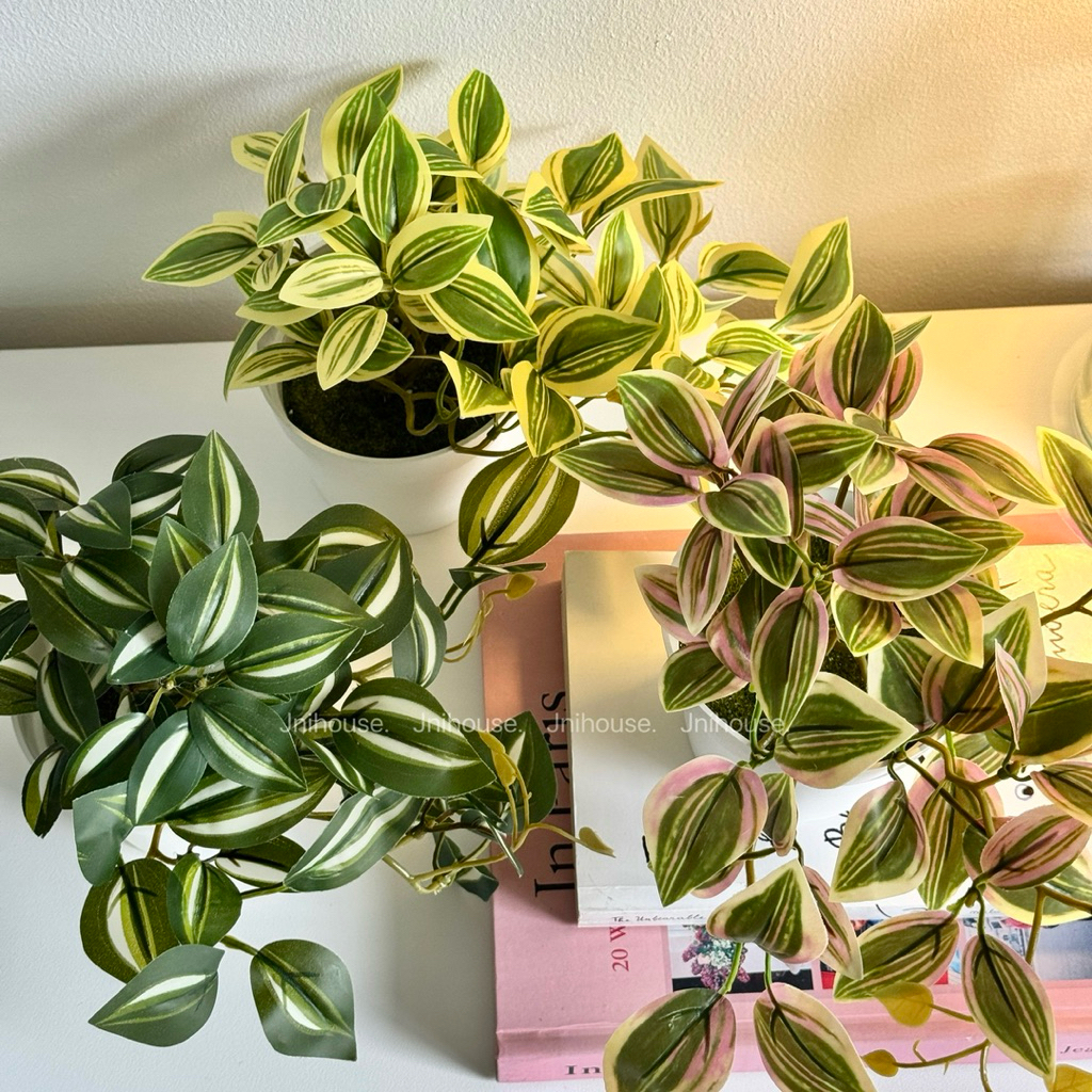 [พร้อมส่ง] Jnihouse : (รุ่นสั้น)ต้นก้ามปูด่างประดิษฐ์+กระถางพลาสติกขาว