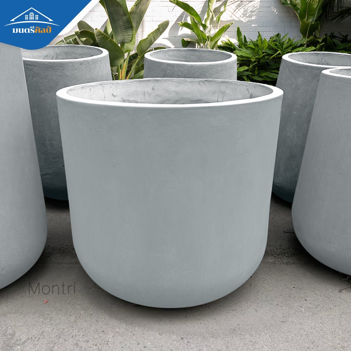 กระถางปูนใหญ่ พิเศษขนาดใหญ่พิเศษ 80x80 cm หายากในท้องตลาด ตอบโจทย์สำหรับต้นไม้ใหญ่และรากลึก