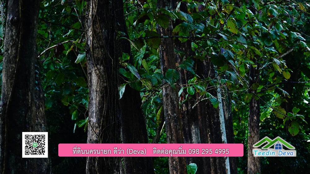 (ðī āļāļīāļāļāļēāļĢāļāļēāļĒ) āļāļĩāđāļāļīāļāļāļāļĢāļāļēāļĒāļ āļāļīāļāļĨāļģāļāļēāļĢ āļāļĨāļđāļāļāļĨāđāļĄāđ 8 āđāļĢāđ 2 āļāļēāļ āļ.āļŠāļēāļĢāļīāļāļē āļ.āđāļĄāļ·āļāļ āļ.āļāļāļĢāļāļēāļĒāļ