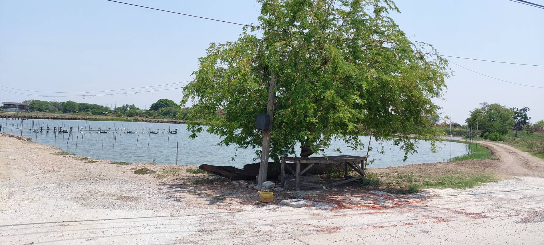 • ขาย ที่ดิน เนื้อที่ 8 ไร่ ถนนจรัญยานนท์ อำเภอบางปะกง ฉะเชิงเทรา • เป็นที่ดินบ่อกุ้ง/บ่อปลา อยู่ติดคลองสำโรง ใกล้ถนนบางนา-ตราด • เหมาะสำหรับธุรกิจบ่อตกปลา/ตกกุ้ง เลี้ยงปลาเลี้ยงกุ้ง หรือร้านอาหาร.