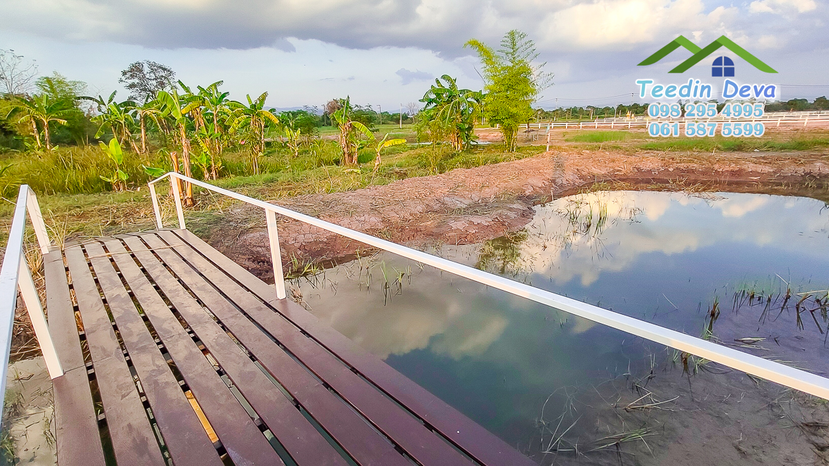 ที่ดินนครนายก แปลงสวย เหมาะทำบ้านสวนเกษตร 2 ไร่ 1 งาน 19 ตร.ว. ต.พรหมณี อ.เมือง จ.นครนายก