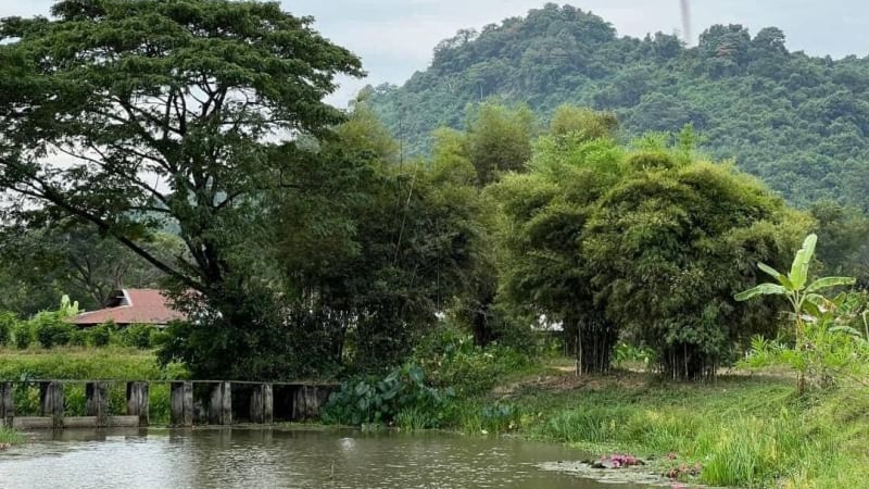 ที่ดินนครนายก วิวภูเขา ติดกับ ฝายทดน้ำ ถนนสาธาณะ พื้นที่ 516 ตร.ว. ต.เขาเพิ่ม อ.บ้านนา จ.นครนายก