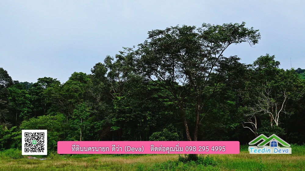 ที่ดินนครนายก ติดลำธารสวยๆ ที่ดินแปลงสวย 6 ไร่ ทำเลดี ในอ้อมกอดของขุนเขา ด้านหลังติดลำธารธรรมชาติ