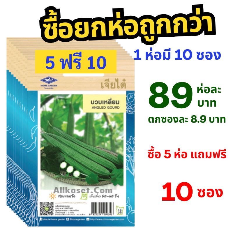 🌱 เมล็ดพันธุ์บวบเหลี่ยม (แพ็ค 10 ซอง) | ซื้อ 5 ห่อ แถมฟรี 10 ซอง! คุ้มสุด ๆ ปลูกง่าย ผลดก โตไว!