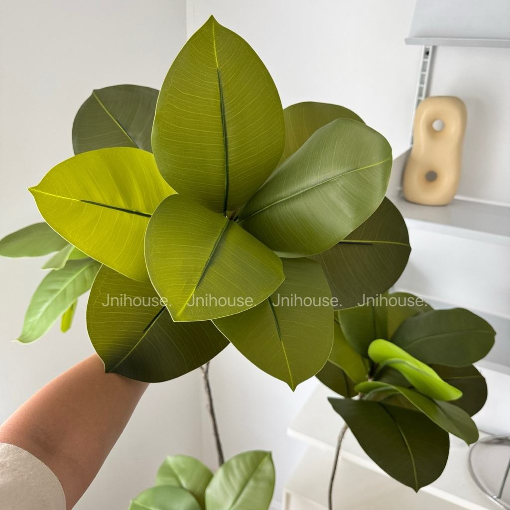 [พร้อมส่ง] Jnihouse : ต้นยางอินเดียประดิษฐ์ ขนาดสูง 160 cm (Tree)