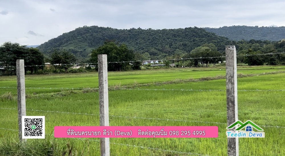 ที่ดินนครนายก ติดคลองธรรมชาติ พื้นที่ 10 ไร่ ไม่ต้องถม ด้านหน้าติดถนน ด้านหลังติดคลอง ต.สาริกา อ.เมือง จ.นครนายก