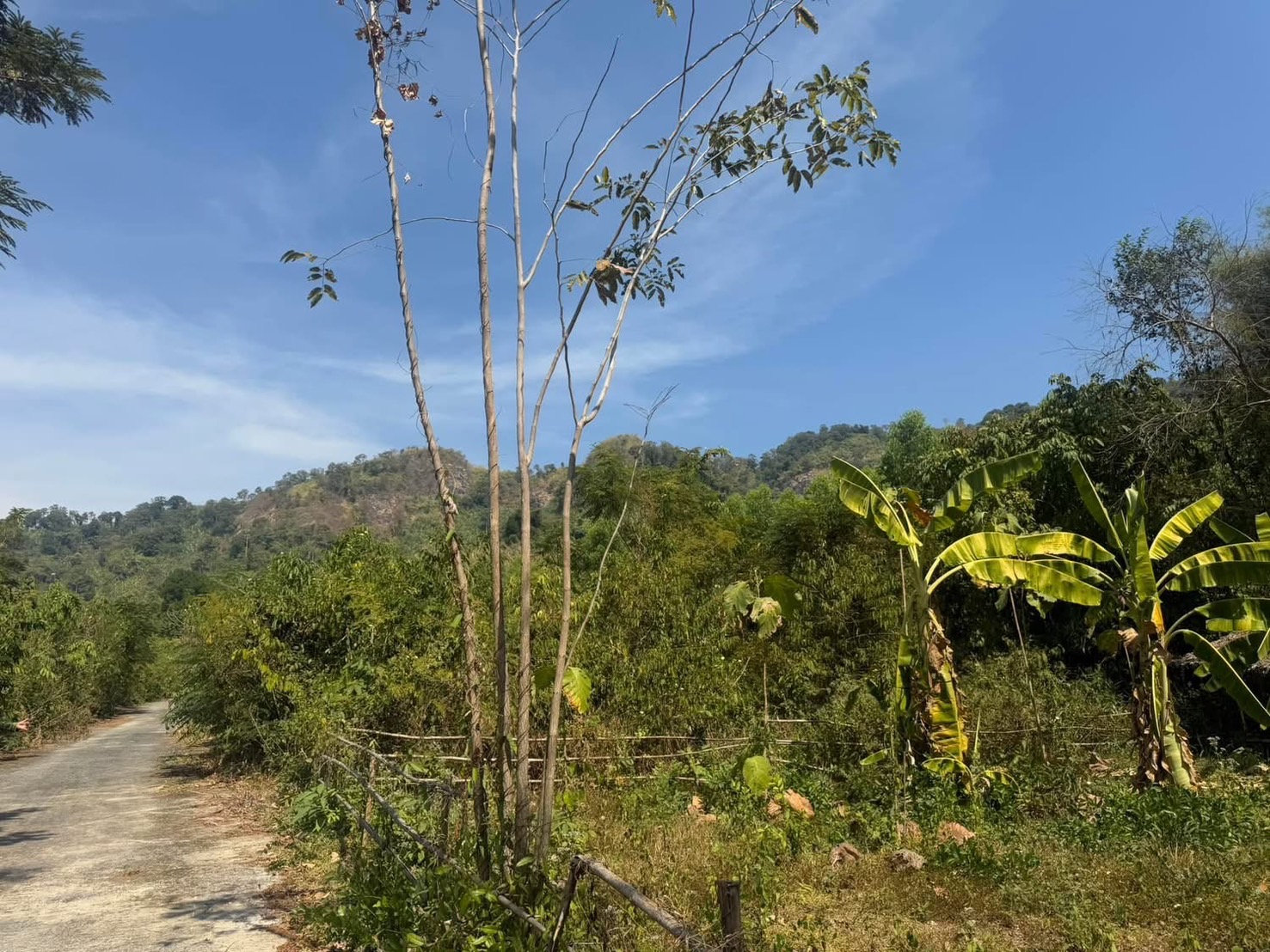 (🔴 ปิดการขาย) ที่ดินนครนายก วิวภูเขา แปลงเล็ก 62 ตร.ว. ต.เขาพระ อ.เมือง จ.นครนายก