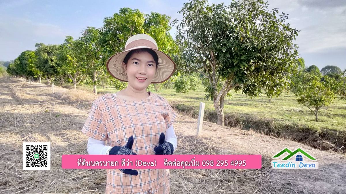 ที่ดินวิวภูเขา แปลงสวย เนื้อที่ 1 ไร่ 3 งาน ด้านหน้าวิวภูเขา ด้านหลังเป็นสวนผลไม้ ต.เขาเพิ่ม อ.บ้านนา จ.นครนายก