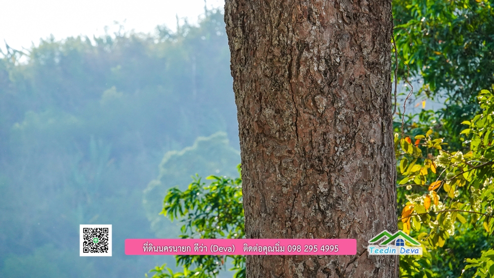 ที่ดินนครนายก วิวเขาพระ เขาใหญ่ ⭐ อยู่ใกล้แหล่งท่องเที่ยว เดินทางสะดวก ต.เขาพระ อ.เมือง จ.นครนายก