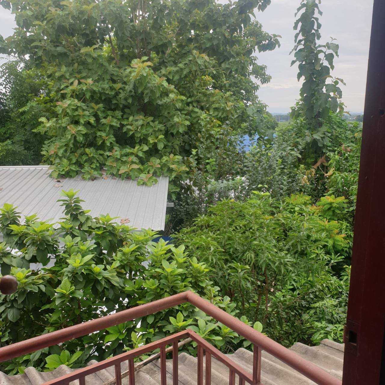 ขายอาคารพานิชย์ 2 ชั้น ใกล้ธนาคารกรุงไทยอ.เวียงสา จังหวัดน่าน (N.796)
