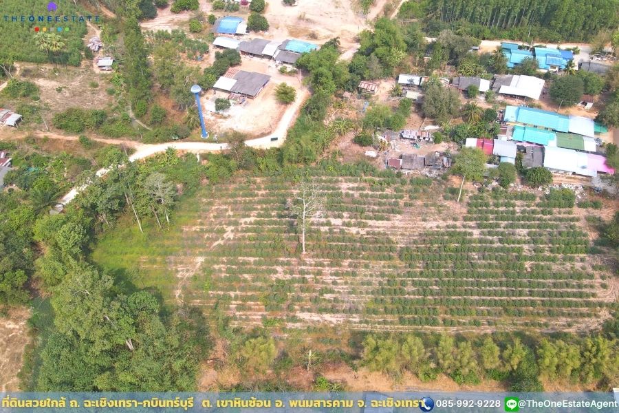 📣 ที่ดินสวยพร้อมทำกำไรดีกว่าฝากแบงค์ ปลูกต้นยูคาฯ ตอ2 กำลังโต พร้อมเก็บเกี่ยว ใกล้ ถ. ฉะเชิงเทรา-กบินทร์บุรี น้ำ-ไฟฟ้าเข้าถึงเรียบร้อย เดินทางเข้าออกสะดวก ต. เขาหินซ้อน อ. พนมสารคาม จ. ฉะเชิงเทรา The Best ! | โทร. 085-992-9228