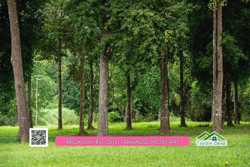 ที่ดินนครนายก ติดแม่น้ำ 14 ไร่ พื้นที่ติดแม่น้ำ 400 เมตร ชมลำธารสวยๆ บรรยากาศสบายๆ ต.สาริกา อ.เมือง จ.นครนายก