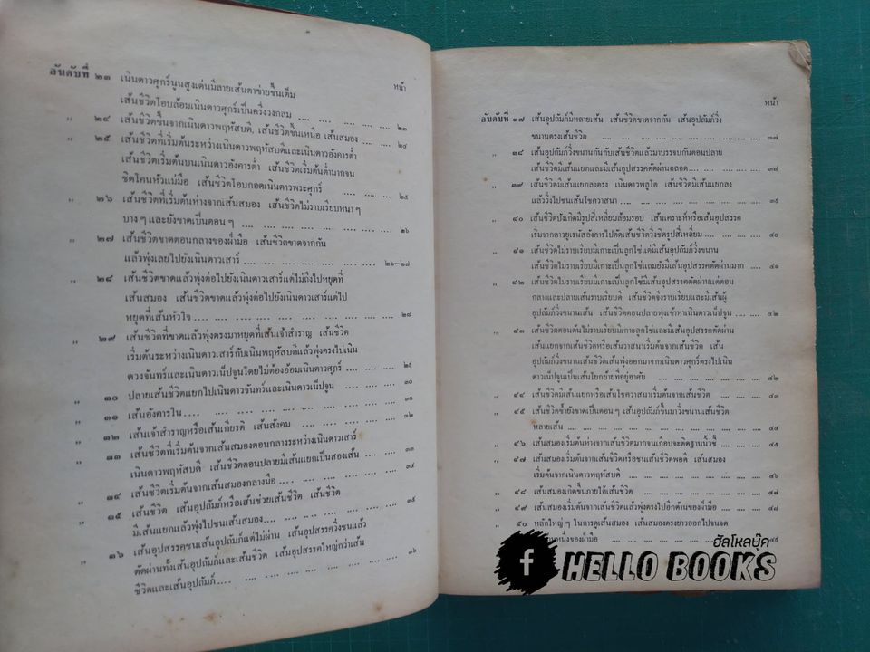 ฝ่ามือ-ฝ่าชีวิต