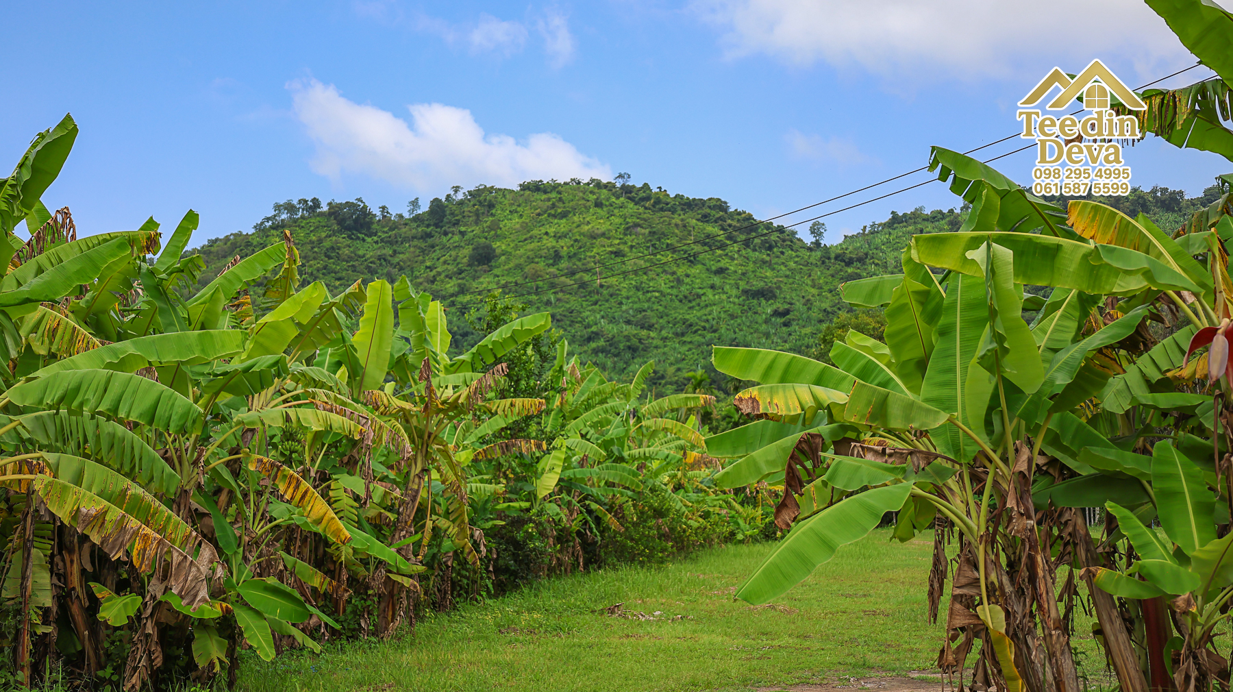 🏡 บ้านพร้อมที่ดินวิวภูเขา 1 ไร่ 3 งาน 45 ตรว. – ต.เขาพระ อ.เมือง จ.นครนายก 🌿