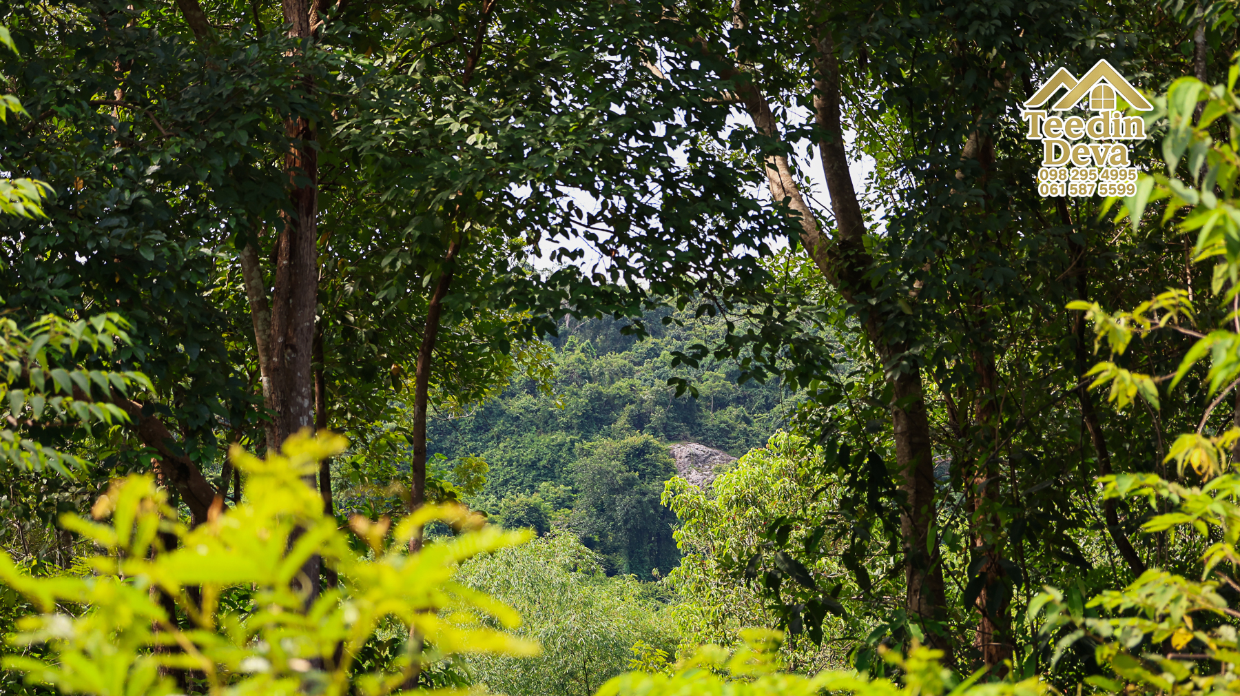 🏞️ “ผืนธรรมชาติกลางหุบเขา” 12 ไร่ 2 งาน 93.3 ตร.วา – ต.สาริกา อ.เมือง จ.นครนายก 🌳