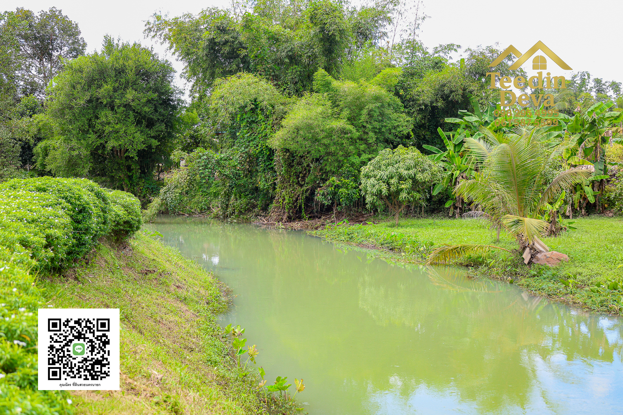 🏞️ สัมผัสเสียงน้ำไหล เคียงข้างขุนเขา — ที่ดิน 1 ไร่ ต.นาหินลาด อ.ปากพลี จ.นครนายก 🌿