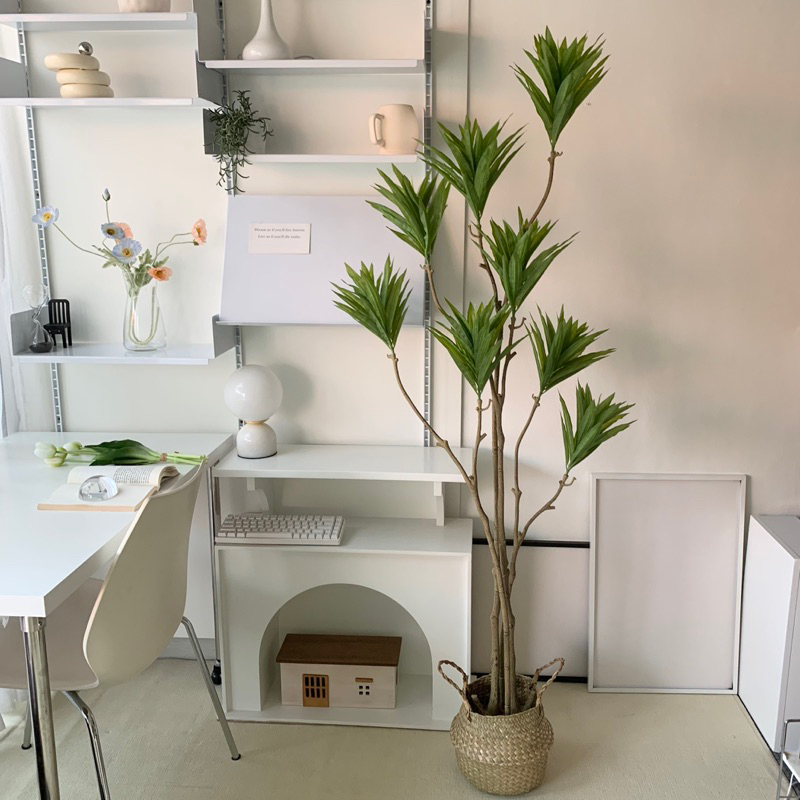 [พร้อมส่ง] Jnihouse : ตะกร้าสาน ตะกร้าหวายธรรมชาติ