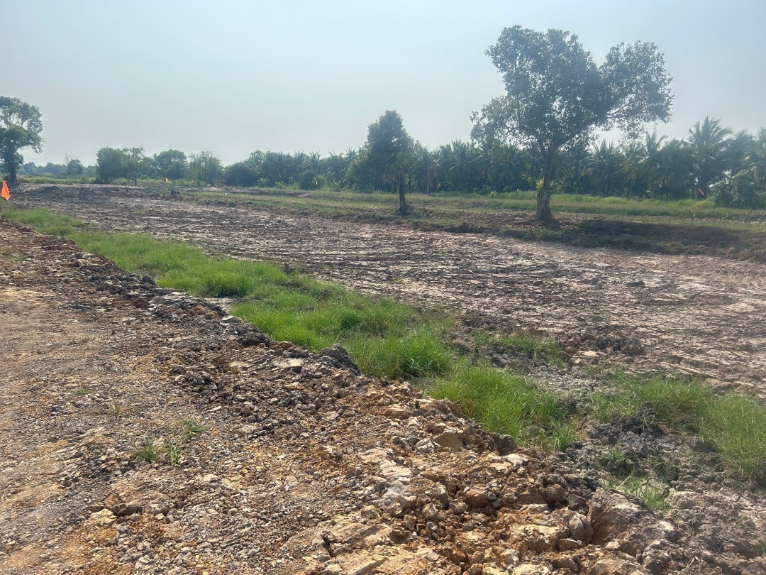 📢 ที่ดินแบ่งขายทำเลดี คลอง 11 หนองเสือ ปทุมธานี (รพีพัฒน์ เฟส 3) 🎗️