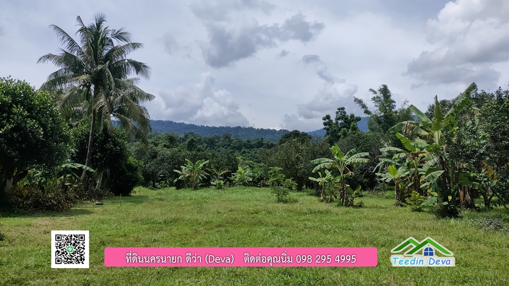 ที่ดินนครนายก สวนผลไม้ 2 ไร่ มีต้นพะยูง ต้นสักทอง ทุเรียน กาแฟ อยู่ใกล้เขื่อนขุนด่าน ต.สาริกา อ.เมือง จ.นครนายก