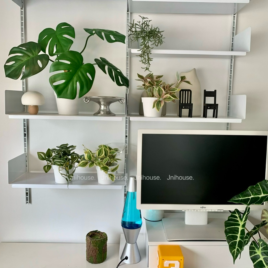 [พร้อมส่ง] Jnihouse : (รุ่นสั้น)ต้นก้ามปูด่างประดิษฐ์+กระถางพลาสติกขาว