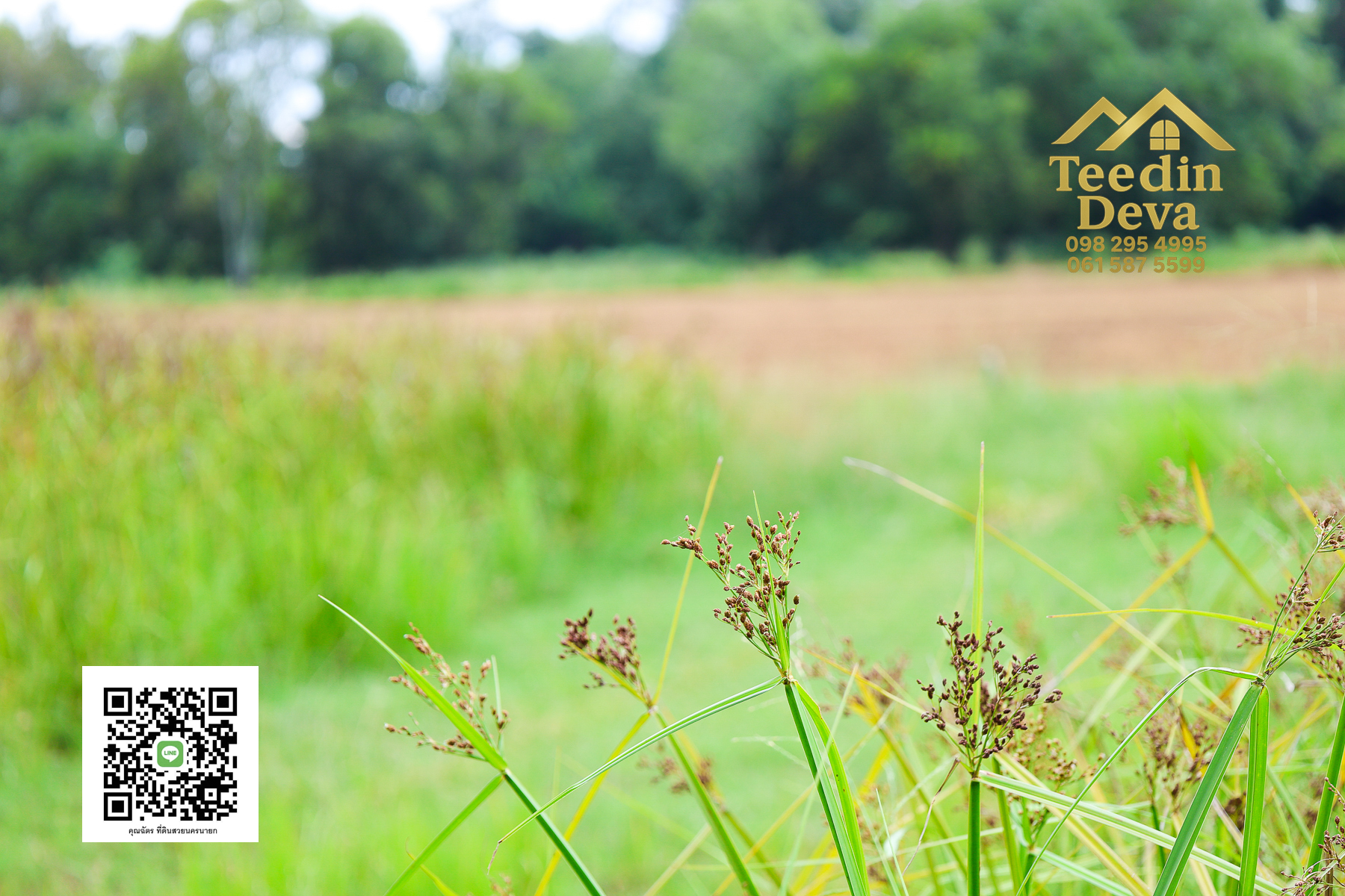 "ที่ดินในฝัน ใกล้ธรรมชาติ 🌿 1 ไร่ 2 งาน – ต.บ้านพริก อ.บ้านนา จ.นครนายก"