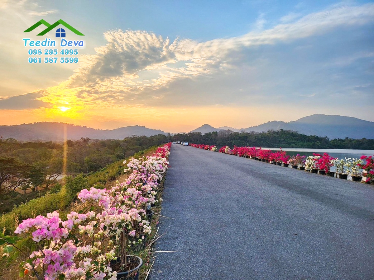 ที่ดินนครนายก บ้านพร้อมที่ดินสวยๆ ทำเลดี ติดกับอ่างเก็บน้ำ วิวธรรมชาติสวยๆ เนื้อที่ 50 ตร.ว. ต.เขาพระ อ.เมือง จ.นครนายก