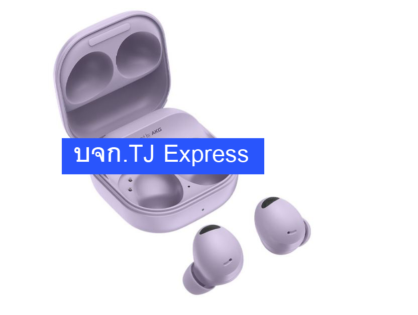 Bluetooth Earbuds SAMSUNG Galaxy Buds 2 Pro (R510NLVAASA) Purple