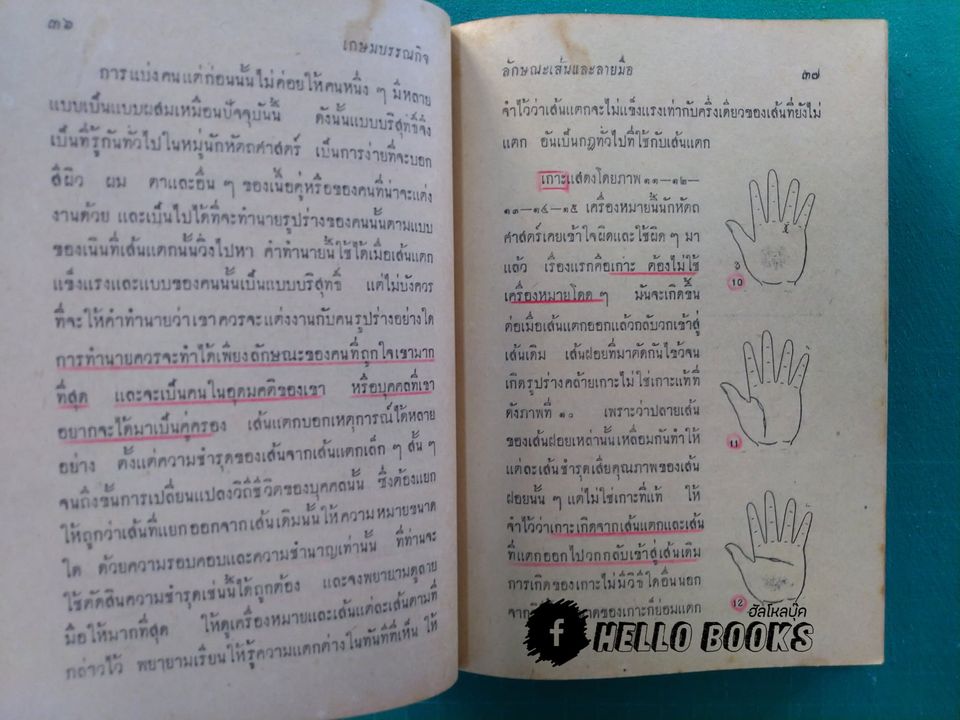 ลักษณะเส้นและลายมือ