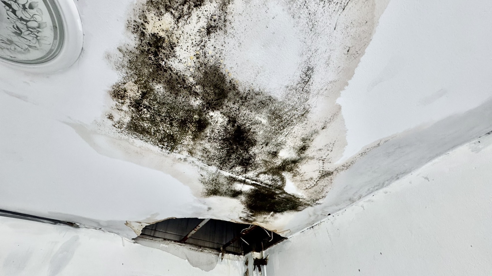 ขายอาคารพาณิชย์ 2.5 ชั้น หมู่บ้านบัวทองธานีพาร์ค บางบัวทอง 2ห้องนอน 2 ห้องน้ำ 20 ตารางวา นนทบุรีทำเลบางบัวทอง ราคา : 1,700,000 บาท