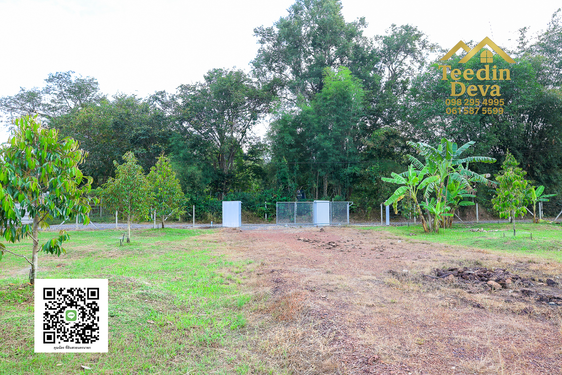 💭 ตื่นเช้าลมเย็น เห็นเขาใหญ่ตรงหน้า... ที่ดินสวนผลไม้ 2 ไร่ 3 งาน ต.นาหินลาด อ.ปากพลี จ.นครนายก