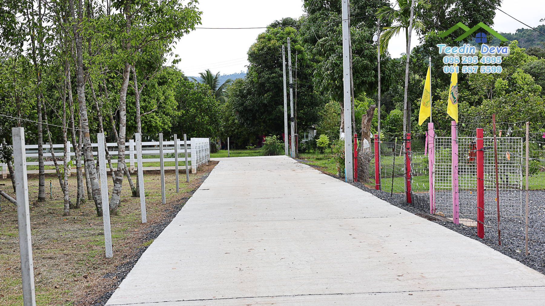 เริ่มต้นชีวิตเรียบง่าย ใต้เงาภูเขานครนายก เนื้อที่ 100 ตรว. ต.สาริกา อ.เมือง จ.นครนายก