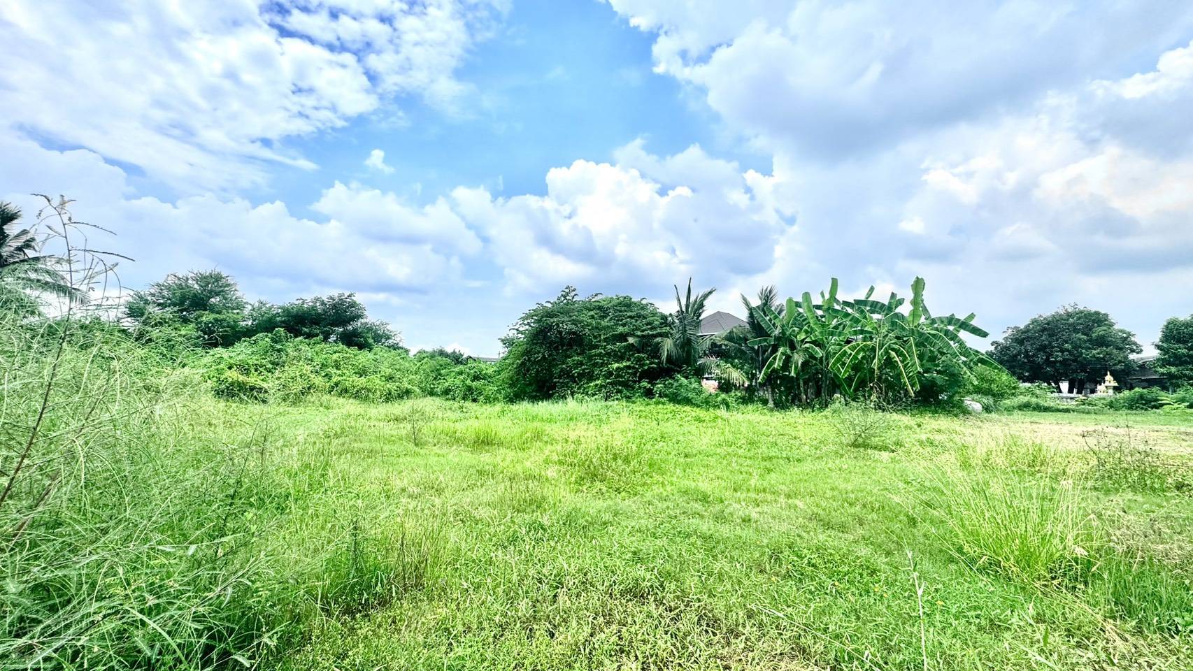 ขายที่ดิน ราชบุรี แปลงใหญ่ สำหรับสร้างหมู่บ้าน พื้นที่รวมประมาณ 4 ไร่ 3 งาน 39 ตารางวา ทำเลศักยภาพสูง 🚗 จุดเด่นของที่ดิน ✅ ติดถนน 3 ด้าน เข้า-ออกได้หลายทาง ✅ ติดคลองชลประทาน บรรยากาศร่มรื่น ลมดีตลอดปี ✅ รายล้อมด้วย ชุมชน โรงเ