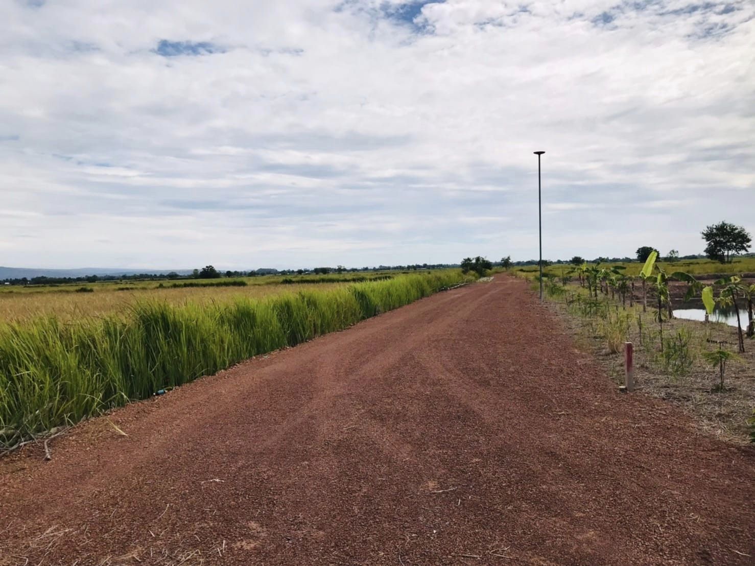 🍃 ความสุขแบบพอเพียง... เริ่มได้ที่นี่ ที่ดิน 2 ไร่ เหมาะทำสวนเกษตร อ.ปากพลี จ.นครนายก