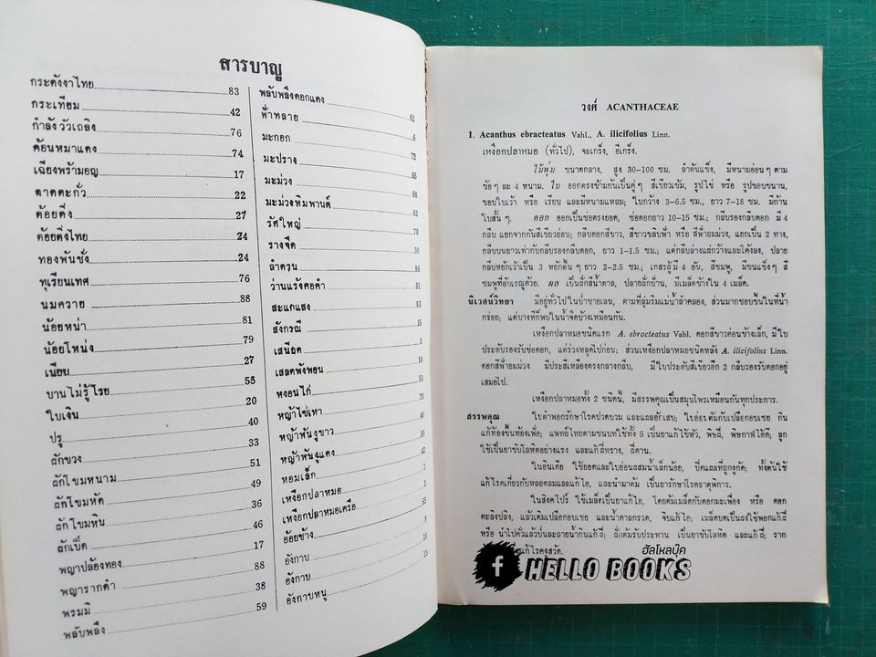 สมุนไพรไทย ตอนที่ 1 - 3